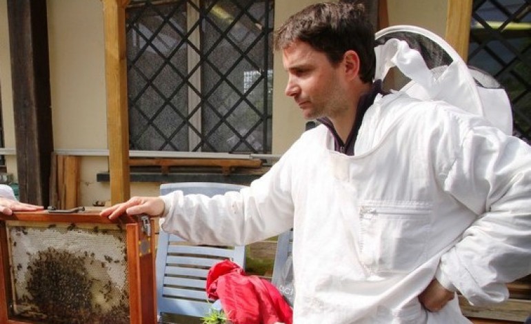 Frelons asiatiques : inquiets, les apiculteurs du Calvados lancent un plan de lutte