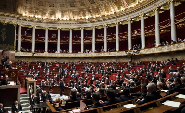 Paris (AFP). Le préjudice écologique voté à l'Assemblée, pour le retour de la loi biodiversité
