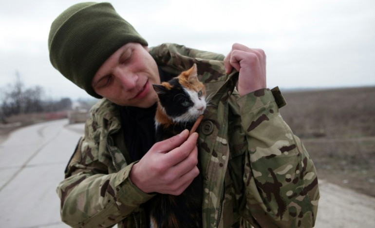 Sartana (Ukraine) (AFP). Ukraine: sur la ligne de front dans l'est, chiens et chats redonnent le moral aux combattants