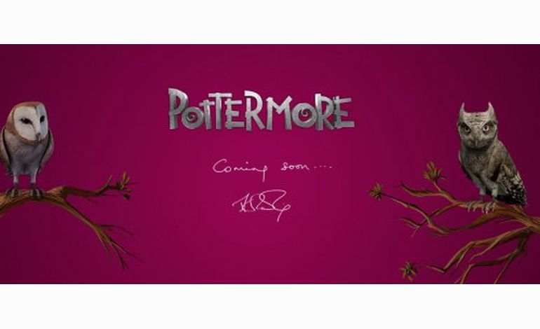 Un site internet mystérieux signé Harry Potter...