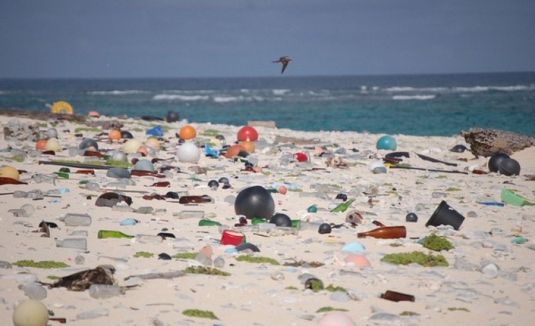 Venez nettoyer la plage d'Agon-Coutainville dimanche 3 avril