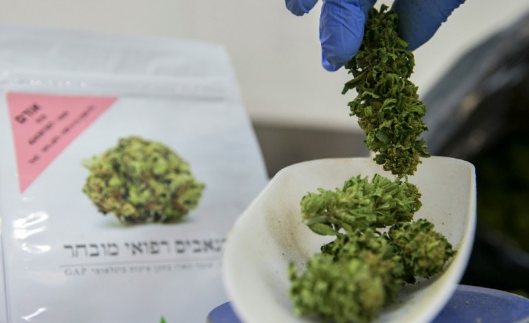 KFAR PINES (Israël) (AFP). Israël prend très au sérieux le cannabis thérapeutique