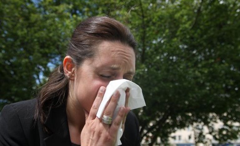 Des allergies plus importantes cette année à Caen