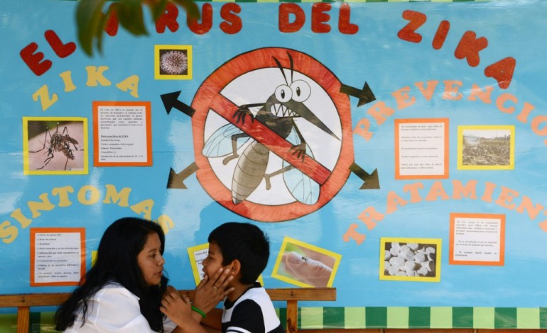 Amsterdam (AFP). Zika: pas de raison de paniquer en Europe et aux Etats-Unis