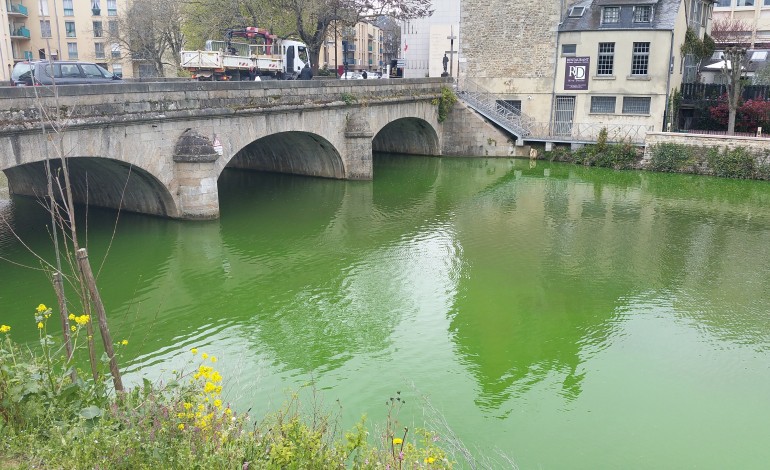 Alençon - La Sarthe colorée en vert!