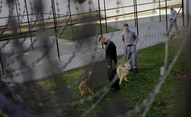 Prison de Debrecen (Hongrie) (AFP). Dans une prison hongroise, détenus et chiens retissent des liens