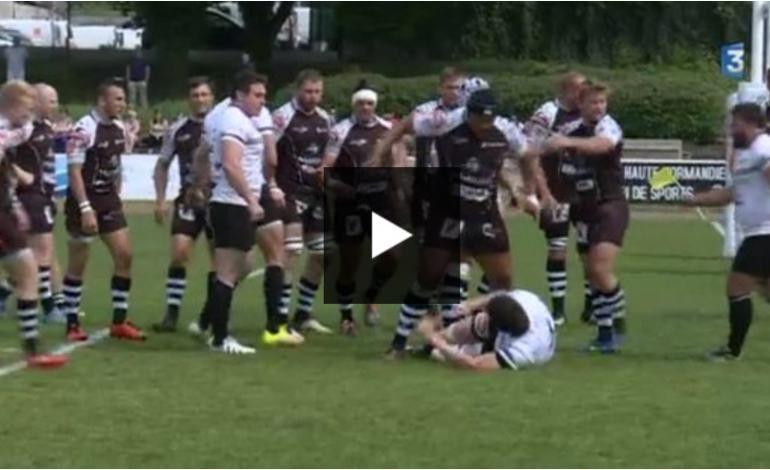 Rugby : le match entre Rouen et Bagnères-de-Bigorre vire à la bagarre générale