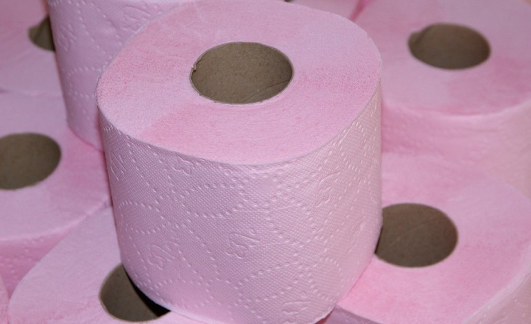 Emploi : le leader mondial du papier toilette supprime plus de 200 postes en Normandie