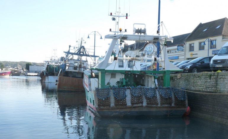 Coquilles Saint-Jacques : les pêcheurs de Normandie pendus à un accord avec les Britanniques