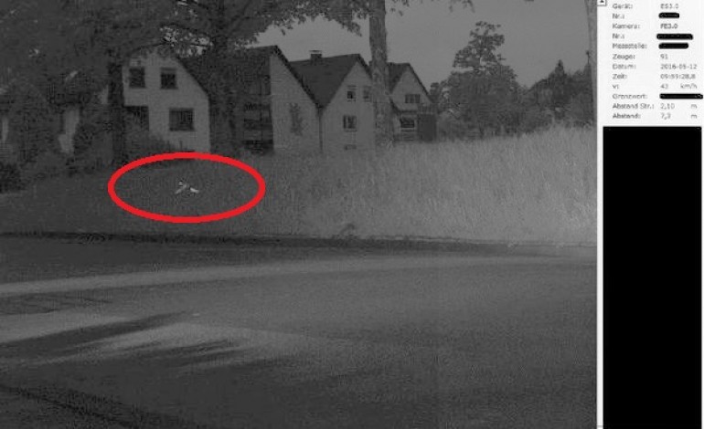 Un perroquet flashé à 43km/h par la Police allemande