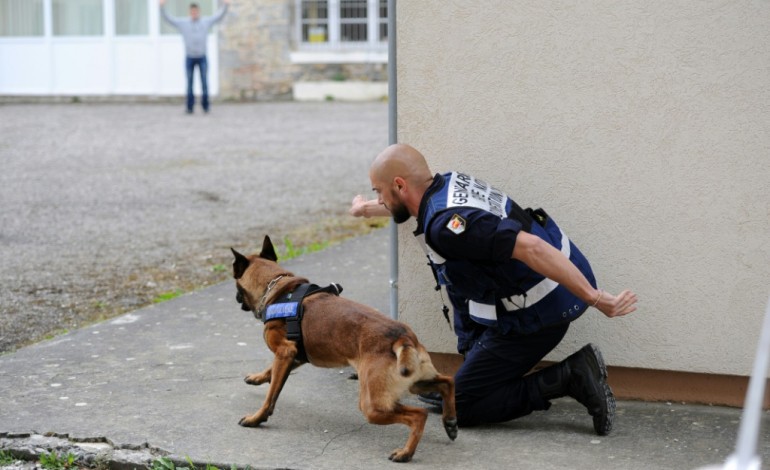 Gramat (France) (AFP). Euro-2016: la gendarmerie déploie dix chiens contre les ceintures d'explosifs