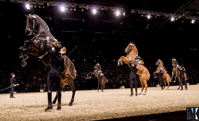 Le Cadre Noir de Saumur : spectacle équestre au Zénith de Rouen