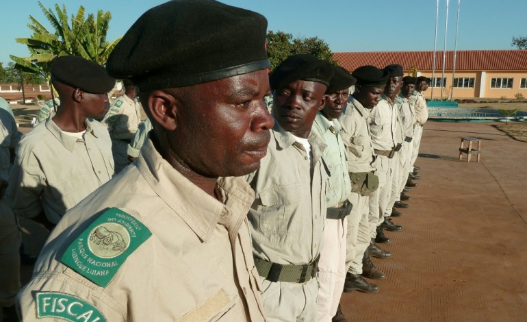 Menongue (Angola) (AFP). Angola: lutter contre le braconnage, la nouvelle guerre 