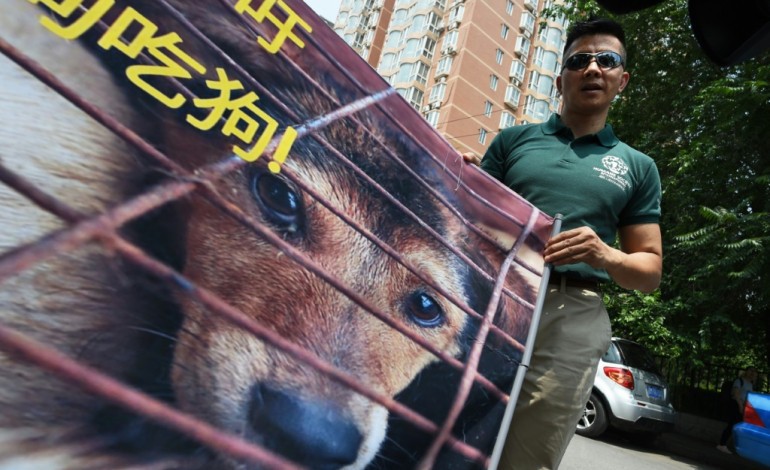 Yulin (Chine) (AFP). Festival de la viande de chien en Chine: les ONG aboient, l'appétit redouble