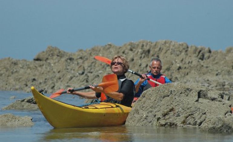 Découvrez les merveilles de l’estuaire... en kayak !