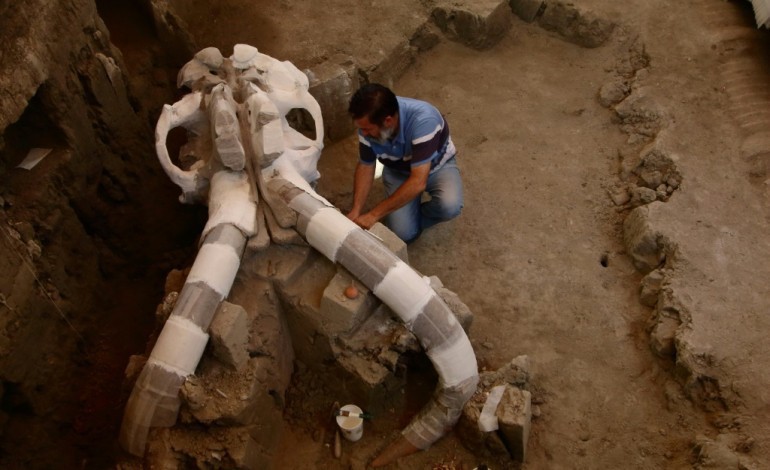 Tultepec (Mexique) (AFP). Un mammouth vieux de 14.000 ans sort de terre au Mexique