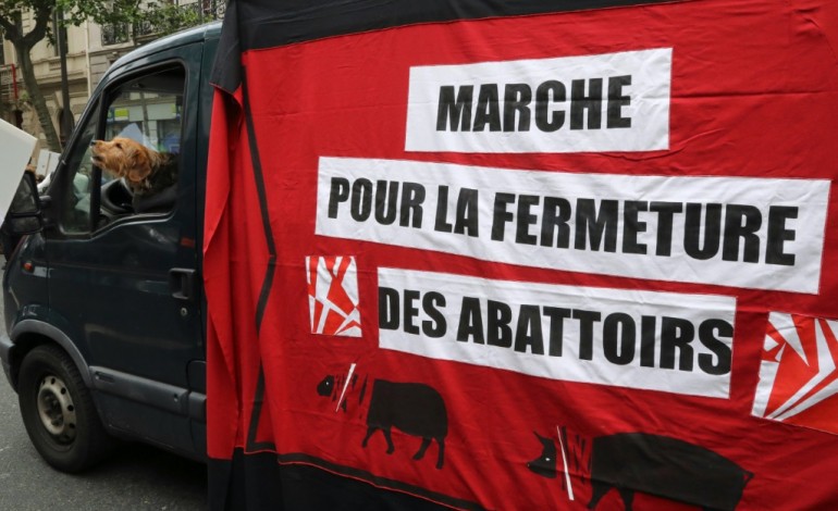 Marseille (AFP). Une association de défense des animaux publie une vidéo dénonçant deux abattoirs du sud de la France 