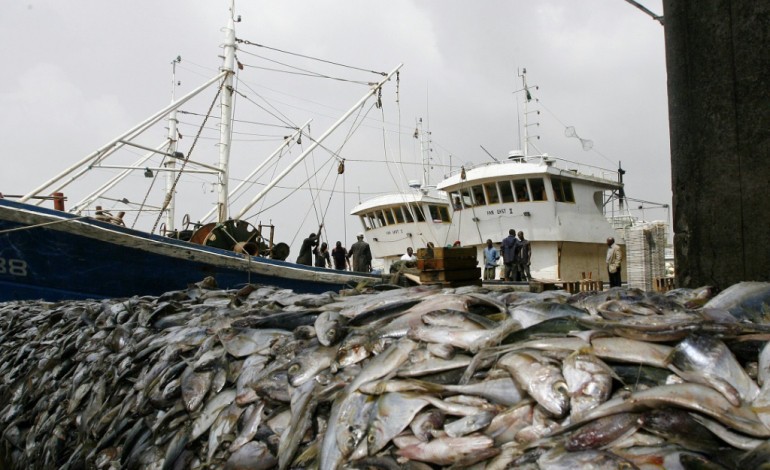 Bruxelles (AFP). L'UE interdit la pêche en eaux profondes à plus de 800 m