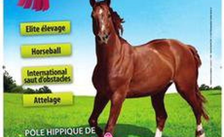 Le Normandy Horse Show ouvre ses portes