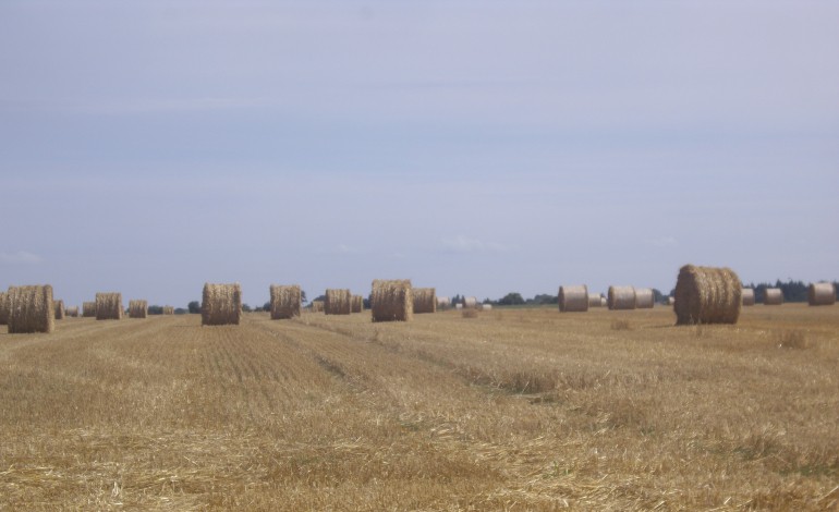 Les changements climatiques imposent une adaptation de l’agriculture en Normandie