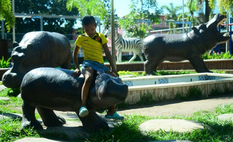 Doradal (Colombie) (AFP). Des hippopotames, insolite héritage du capo Pablo Escobar en Colombie