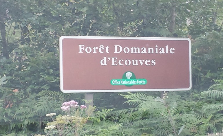 Orne : randonnées sur les traces du peintre Georges Lacombe en forêt d'Ecouves