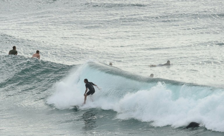 Ballina (Australie) (AFP). L'Australie, haut lieu du surf, a peur des dents de la mer