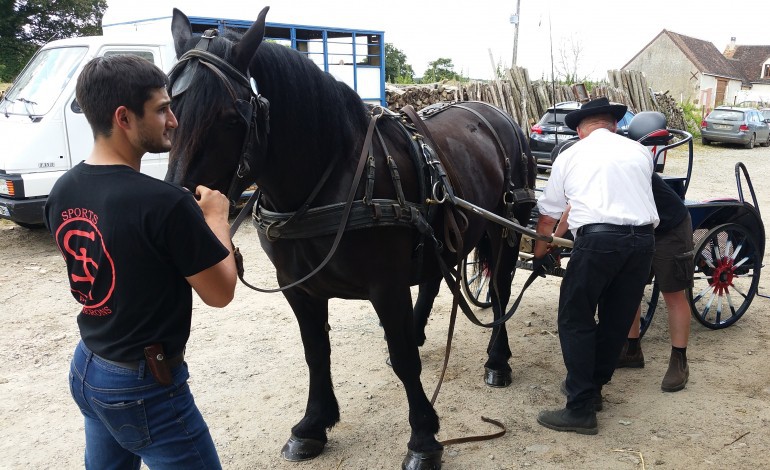 Orne : un derby de chevaux Percheron disputé à Origny-le-Butin