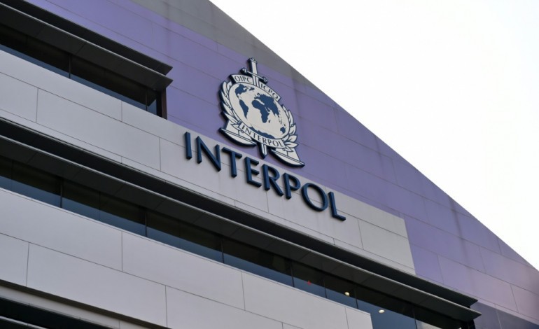 Lyon (AFP). Interpol rejoint la coalition internationale anti-EI