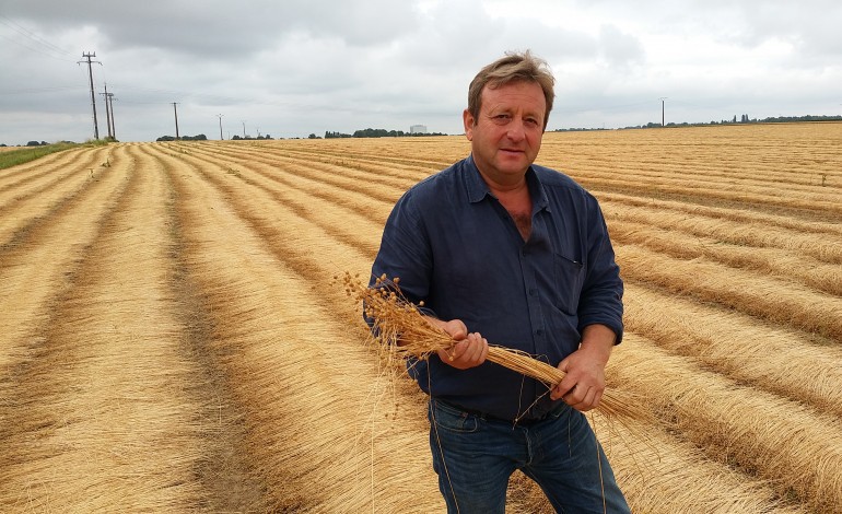 Calvados : malgré la crise agricole, la filière du lin tire son épingle du jeu 
