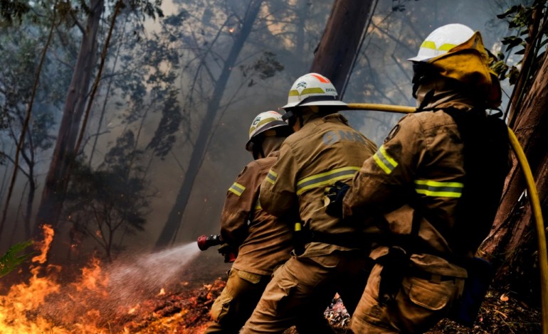 Funchal (Portugal) (AFP). Madère: incendies maîtrisés dans l'archipel