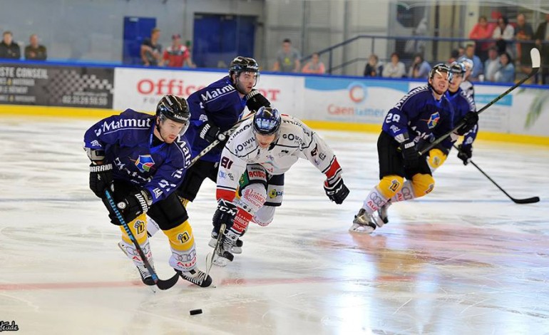 Hockey: la Champions Hockey League au programme des Dragons de Rouen