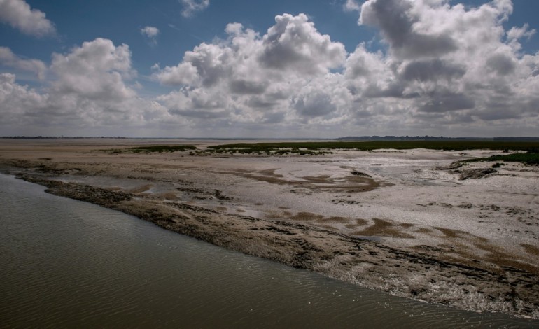 Le Crotoy (France) (AFP). La baie de Somme, attention fragile ! 