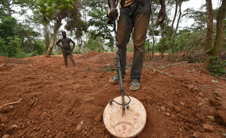 Booré (Côte d'Ivoire) (AFP). En Côte d'Ivoire, on détruit les plantations cacao pour chercher de l'or