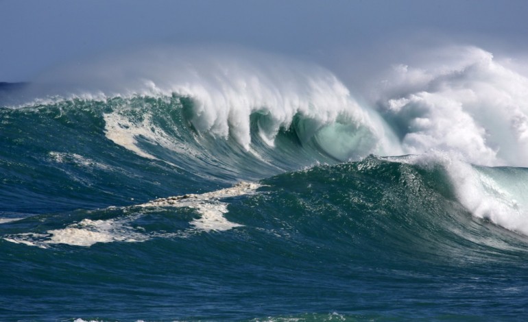 Honolulu (Etats-Unis) (AFP). Des océans "malades" du réchauffement, préviennent des scientifiques