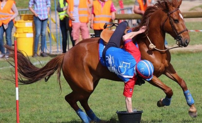 MANCHE Concours international de Pony Games à Saint Lô ce week-end