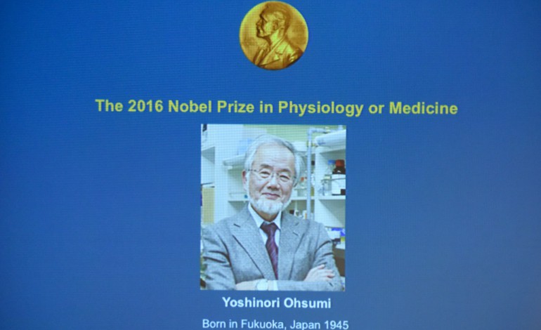 Stockholm (AFP). Médecine: le prix Nobel attribué au Japonais Yoshinori Ohsumi 