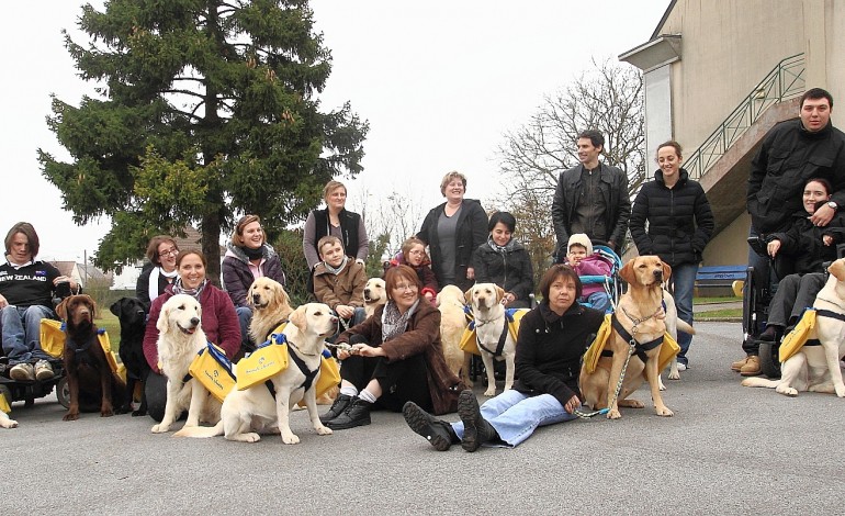Caen. Normandie: découvrir la formation des chiens d'assistance aux personnes handicapées