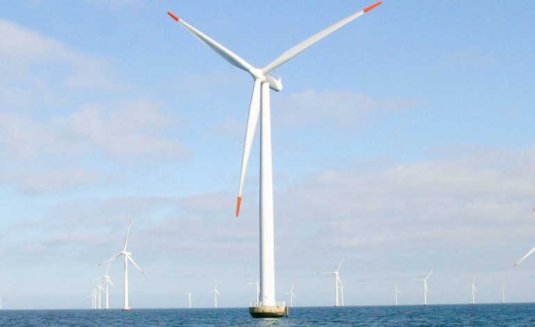 Courseulles-sur-Mer. Normandie : huit associations déposent un recours contre le parc éolien en mer de Courseulles