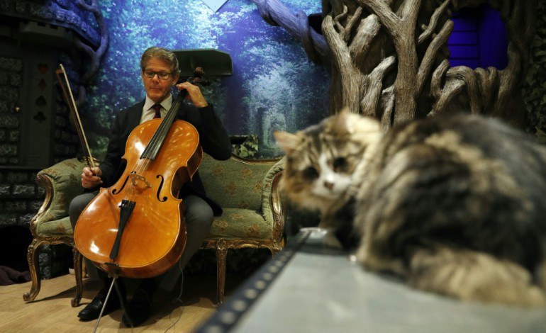 Londres (AFP). Pour calmer vos matous, un violoncelliste leur crée un album