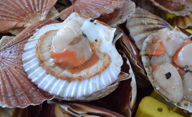La 21ème Fête de la coquille Saint-Jacques et des fruits de mer à Villers-sur-mer