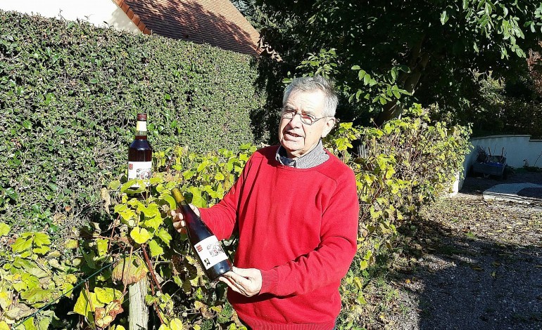 Caen. Insolite : A bientôt 80 ans, Michel cultive des vignes... dans son jardin