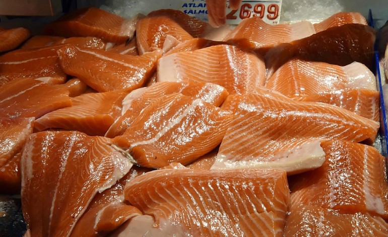 Le saumon frais non bio moins contaminé qu'avant