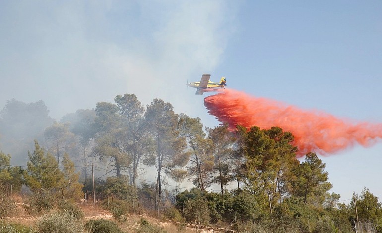 Israël: les pompiers affirment avoir éteint tous les incendies