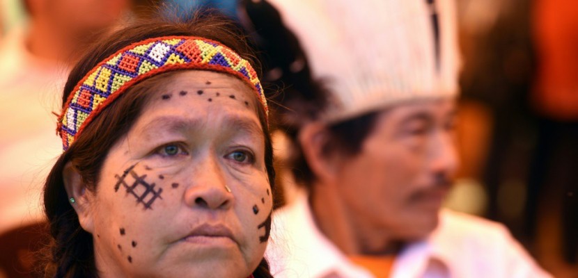 Au Paraguay, les Indiens guayakis veulent un bout de terre