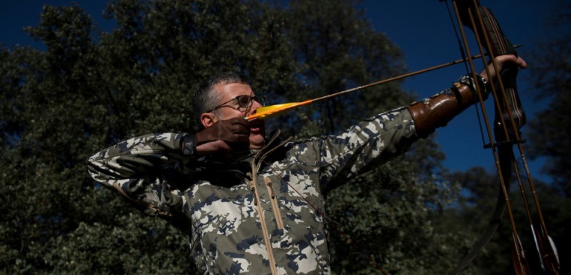 En Espagne, des archers chargés d'éliminer les sangliers de nuit