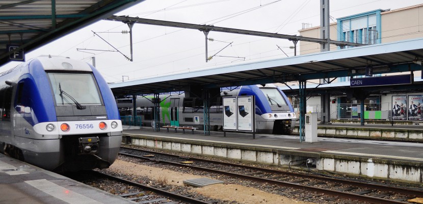 Caen. Normandie : un train percute des sangliers, perturbations sur la ligne Paris-Cherbourg
