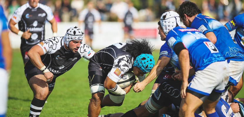 Rouen. Rugby: reprise du championnat pour le Stade Rouennais à Oloron