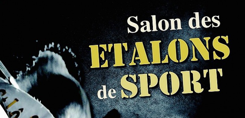 Saint-Lô. Salon des étalons chevaux et poney de sport à Saint-Lô