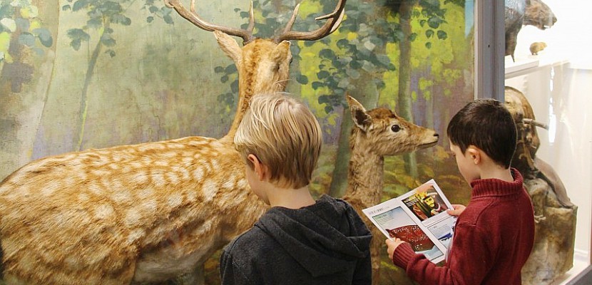 Le Muséum d'Histoire naturelle de Rouen reçoit un label spécial enfants